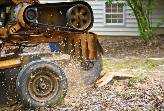 stump removal in Tishomingo